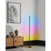 Eglo PICACHA Stehleuchte LED Schwarz, 1-flammig, Fernbedienung, Farbwechsler Eglo PICACHA Stehleuchte LED Schwarz, 1-flammig, Fernbedienung, Farbwechsler