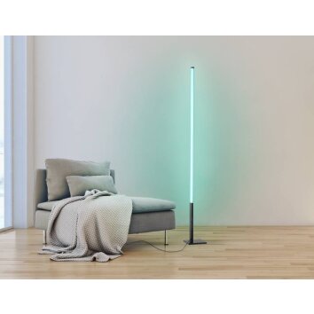 Eglo PICACHA Stehleuchte LED Schwarz, 1-flammig, Fernbedienung, Farbwechsler