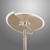 Paul Neuhaus PURE-MUTIL Deckenfluter LED Messing, 2-flammig