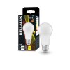 BELLALUX® LED E27 10 Watt 2700 Kelvin 1055 Lumen