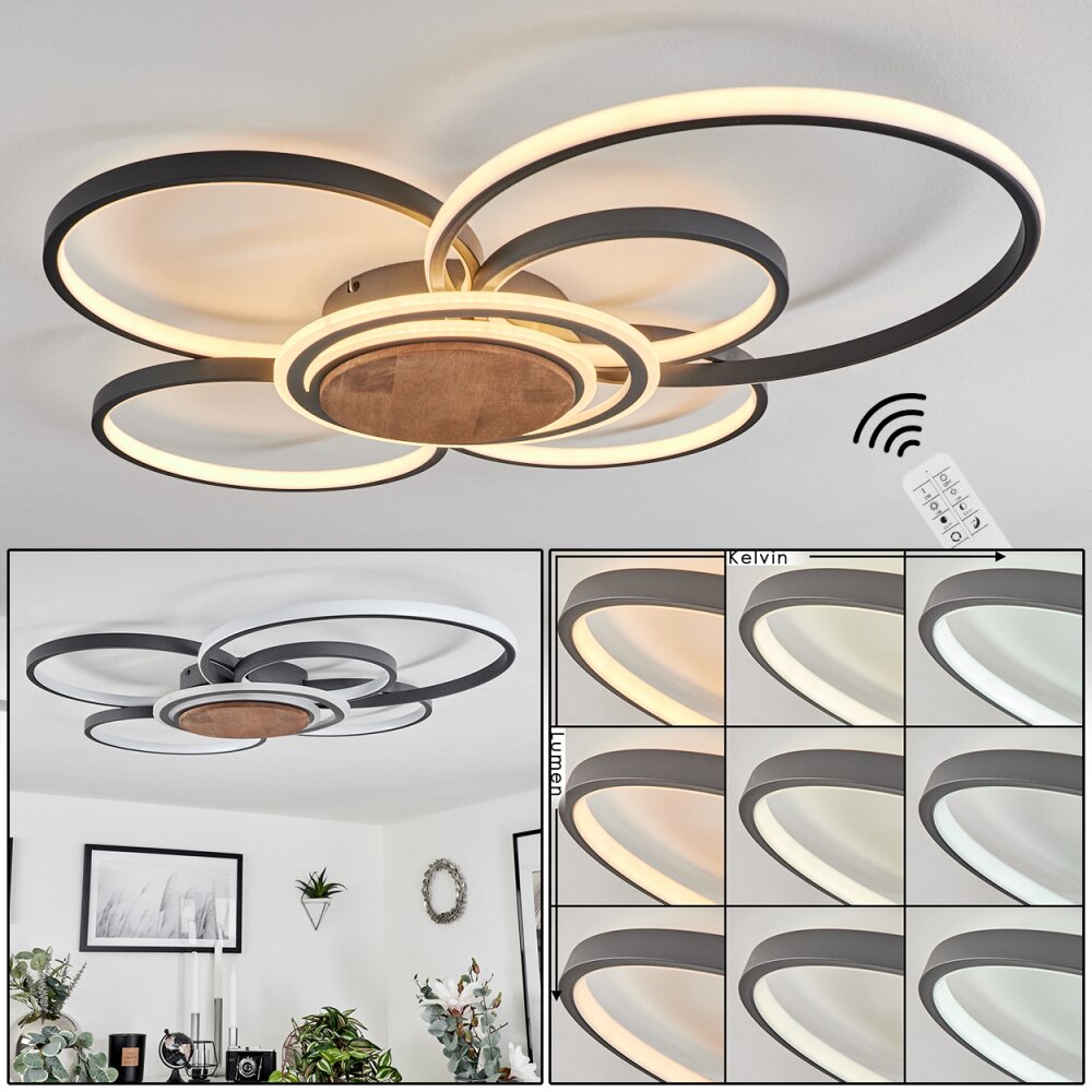 Kassambene Deckenleuchte LED Anthrazit, Naturfarben, 1-flammig, Fernbedienung main product photo