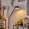 Artemide TOLOMEO Stehleuchte Chrom, Schwarz, 1-flammig