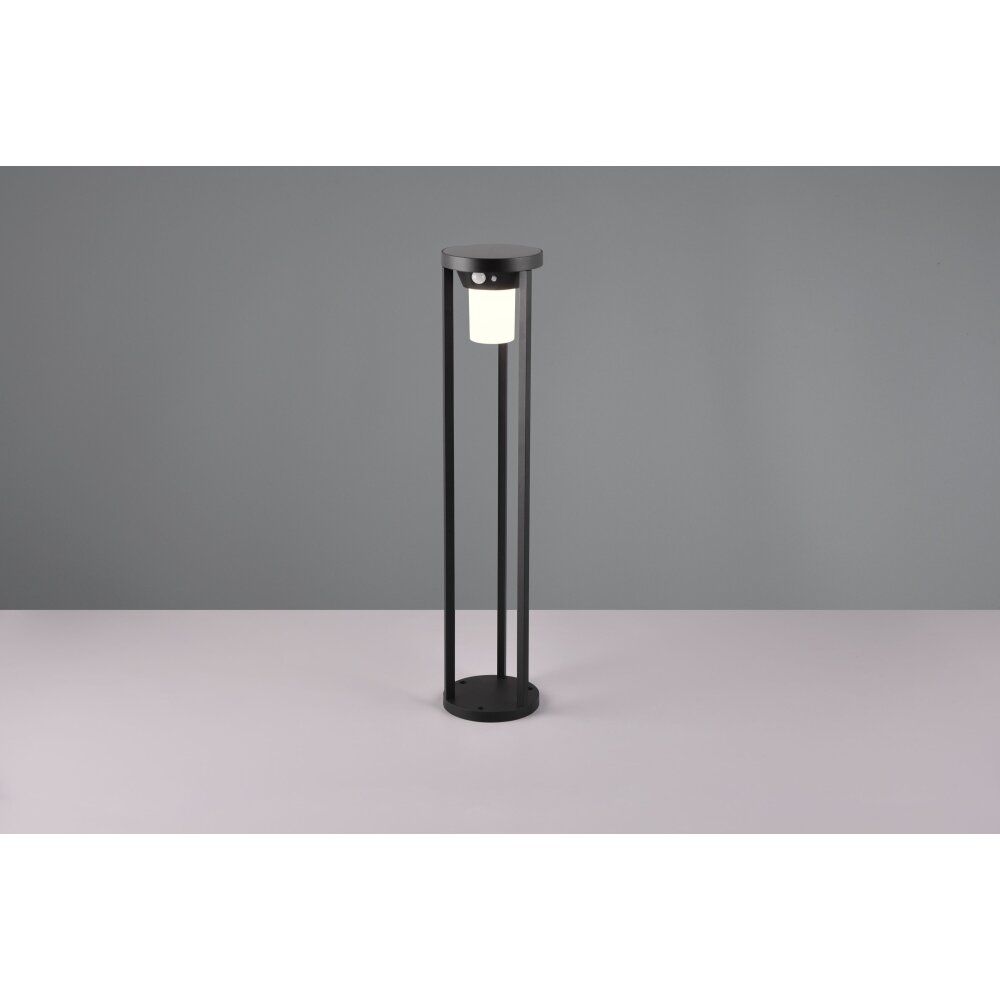 Trio Carmo Solar-Wegeleuchte LED Schwarz, 1-flammig, Bewegungsmelder main product photo