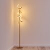 Lavaca Stehleuchte LED Gold, 2-flammig
