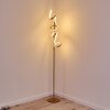 Lavaca Stehleuchte LED Gold, 2-flammig