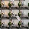 Idual Phniet Gartenstrahler LED Schwarz, 1-flammig, Fernbedienung, Farbwechsler