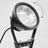Idual Phniet Gartenstrahler LED Schwarz, 1-flammig, Fernbedienung, Farbwechsler
