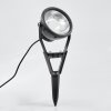 Idual Phniet Gartenstrahler LED Schwarz, 1-flammig, Fernbedienung, Farbwechsler