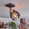 Dandin Deckenleuchte Schwarz, 1-flammig