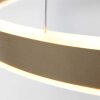 Steinhauer Ringlux Hängeleuchte LED Gold, 2-flammig
