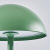 Pelaro Außentischleuchte LED Grün, 1-flammig