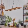 Adak Pendelleuchte LED Schwarz, 1-flammig