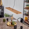 Adak Pendelleuchte LED Schwarz, 1-flammig