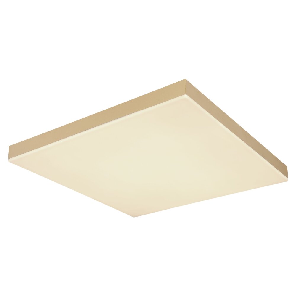 Globo DORO Deckenleuchte LED Weiß, 1-flammig main product photo