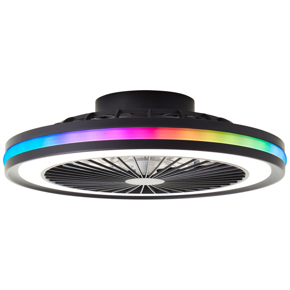Brilliant Palmero Deckenventilator Schwarz, 1-flammig, Fernbedienung, Farbwechsler main product photo