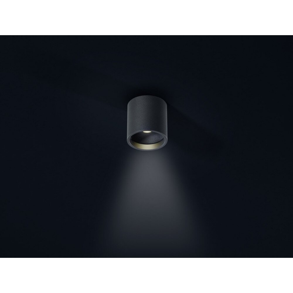 Helestra DORA 1 Deckenleuchte LED Schwarz, 1-flammig main product photo