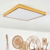 Broglen Deckenpanel LED Gold, 1-flammig