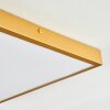 Broglen Deckenpanel LED Gold, 1-flammig