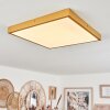 Broglen Deckenpanel LED Gold, 1-flammig