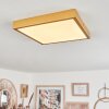 Broglen Deckenpanel LED Gold, 1-flammig