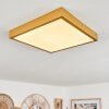 Broglen Deckenpanel LED Gold, 1-flammig