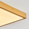 Broglen Deckenpanel LED Gold, 1-flammig