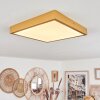 Broglen Deckenpanel LED Gold, 1-flammig