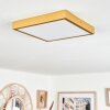 Broglen Deckenpanel LED Gold, 1-flammig