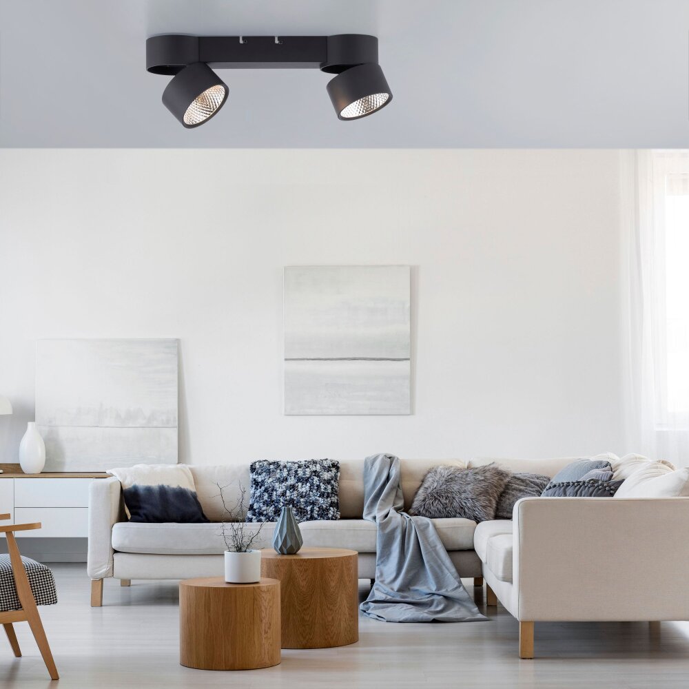 Paul Neuhaus PURE-NOLA Deckenleuchte LED Schwarz, 2-flammig main product photo