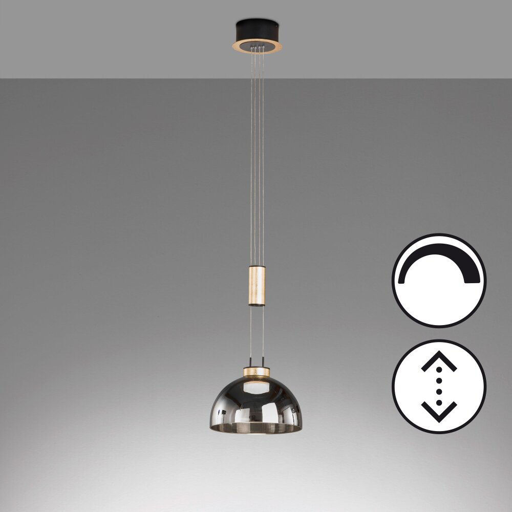 Fischer & Honsel Avignon Pendelleuchte LED Schwarz, 1-flammig main product photo