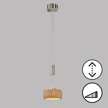 Fischer & Honsel SHINE-WOOD Pendelleuchte LED Nickel-Matt, 1-flammig