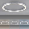 Paul Neuhaus PURE-LINES Deckenleuchte LED Silber, 1-flammig, Fernbedienung