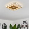 Evolene Deckenleuchte LED Gold, 1-flammig