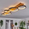 Rodekro Deckenleuchte LED Schwarz, Weiß, 1-flammig