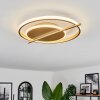 Evolene Deckenleuchte LED Gold, 1-flammig