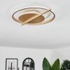 Evolene Deckenleuchte LED Gold, 1-flammig