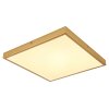 Globo TIBEY Deckenpanel LED Messing, 1-flammig