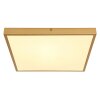 Globo TIBEY Deckenpanel LED Messing, 1-flammig