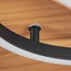 Abonakope Deckenleuchte LED Holzoptik, Naturfarben, Schwarz, 2-flammig, Fernbedienung, Farbwechsler