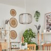 Begonte Hängeleuchte Taupe, 1-flammig