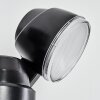 Anyarhwi Außenwandleuchte LED Schwarz, 2-flammig, Bewegungsmelder