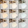 Newborn Deckenleuchte LED Dunkelbraun, Nickel-Matt, 4-flammig, Fernbedienung, Farbwechsler