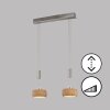 Fischer & Honsel SHINE-WOOD Pendelleuchte LED Nickel-Matt, 2-flammig