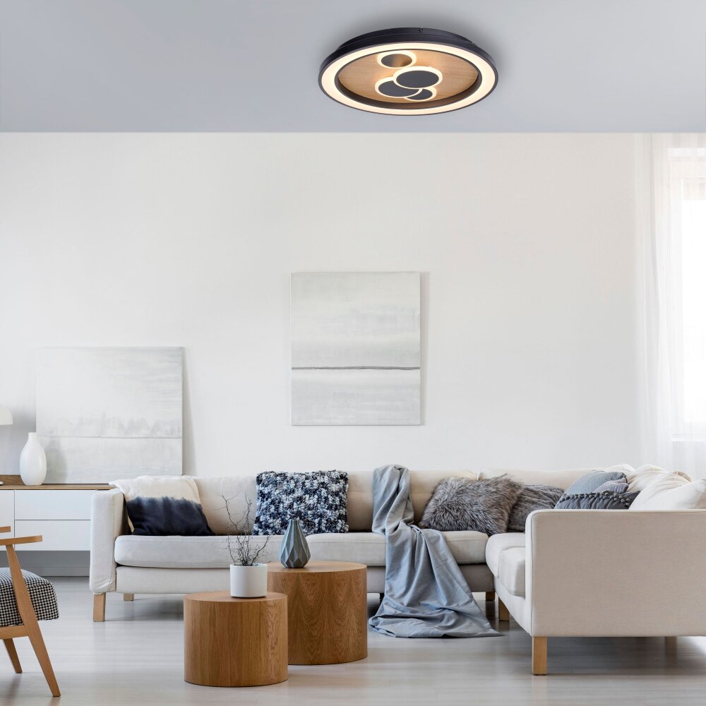 Paul Neuhaus ELIZA Deckenleuchte LED Naturfarben, 2-flammig main product photo
