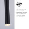 Paul Neuhaus FLUTE Pendelleuchte LED Schwarz, 1-flammig