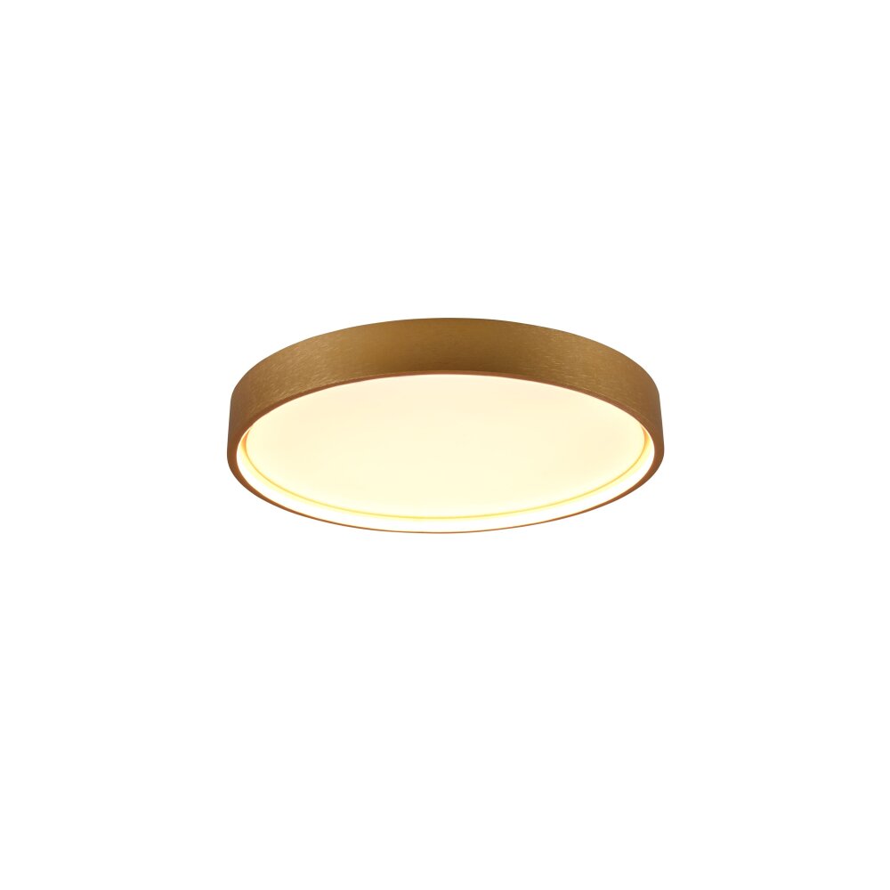 Trio DOHA Deckenleuchte LED Messing, 1-flammig main product photo