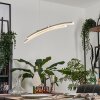 Manlleu Pendelleuchte Chrom, 1-flammig