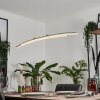 Manlleu Pendelleuchte Chrom, 1-flammig