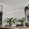 Manlleu Pendelleuchte LED Chrom, 1-flammig