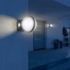 Globo ILLI Außenwandleuchte LED Anthrazit, 1-flammig